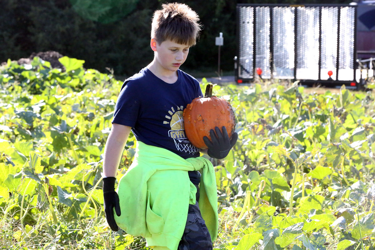St Joseph Pumpkin Patch (13).jpg